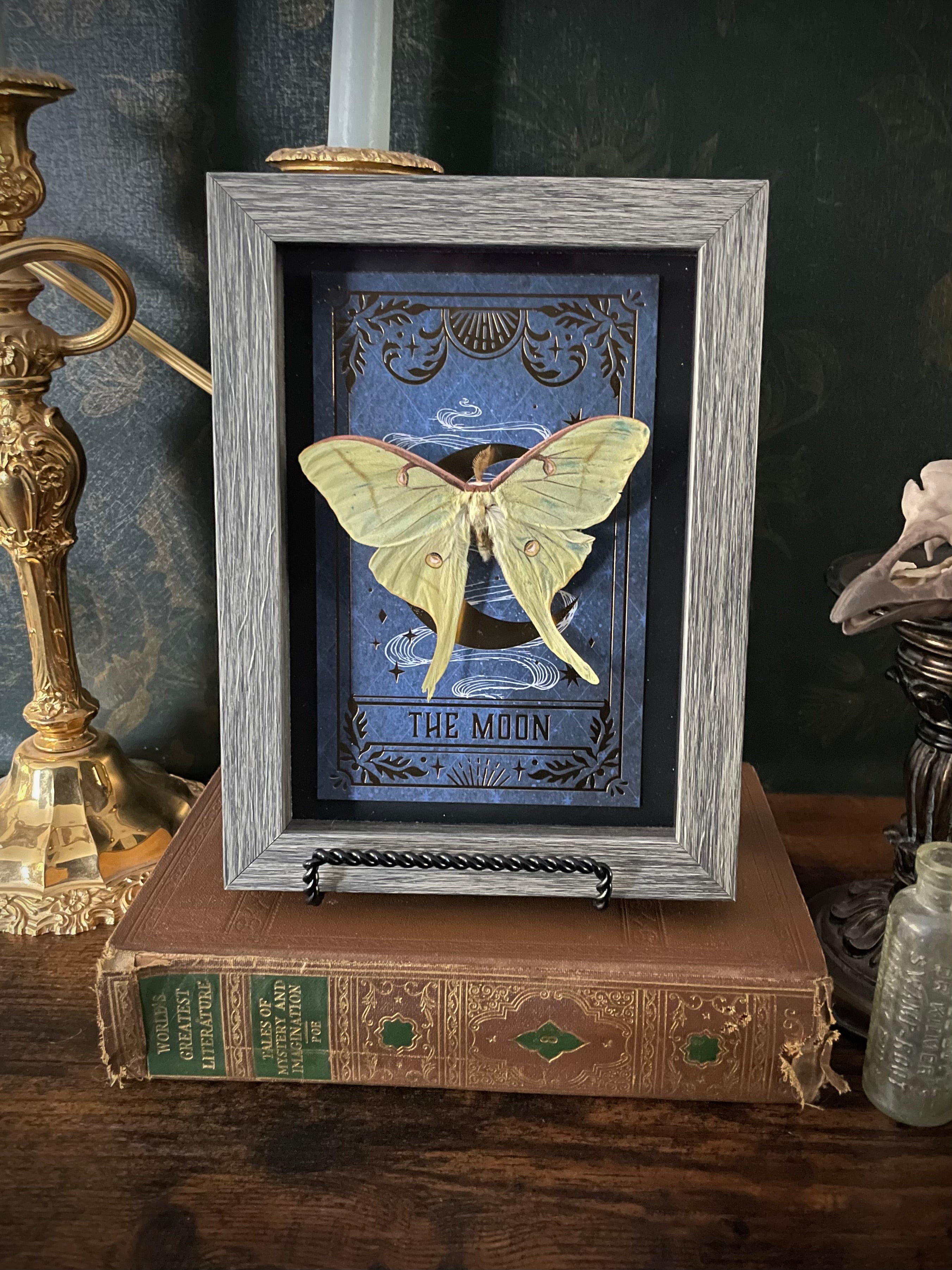 Tarot Luna Moth