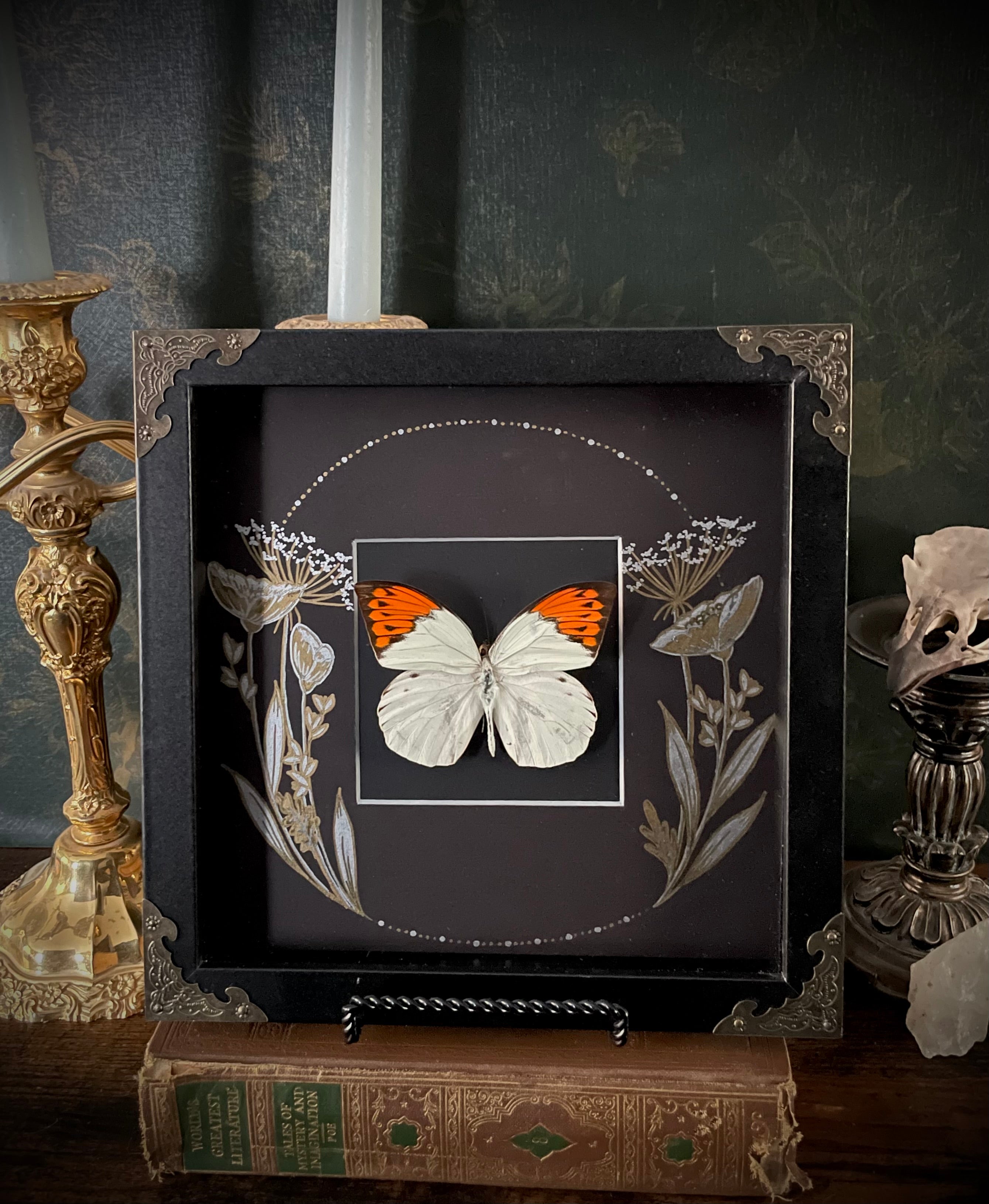 Framed Orange & White Butterfly