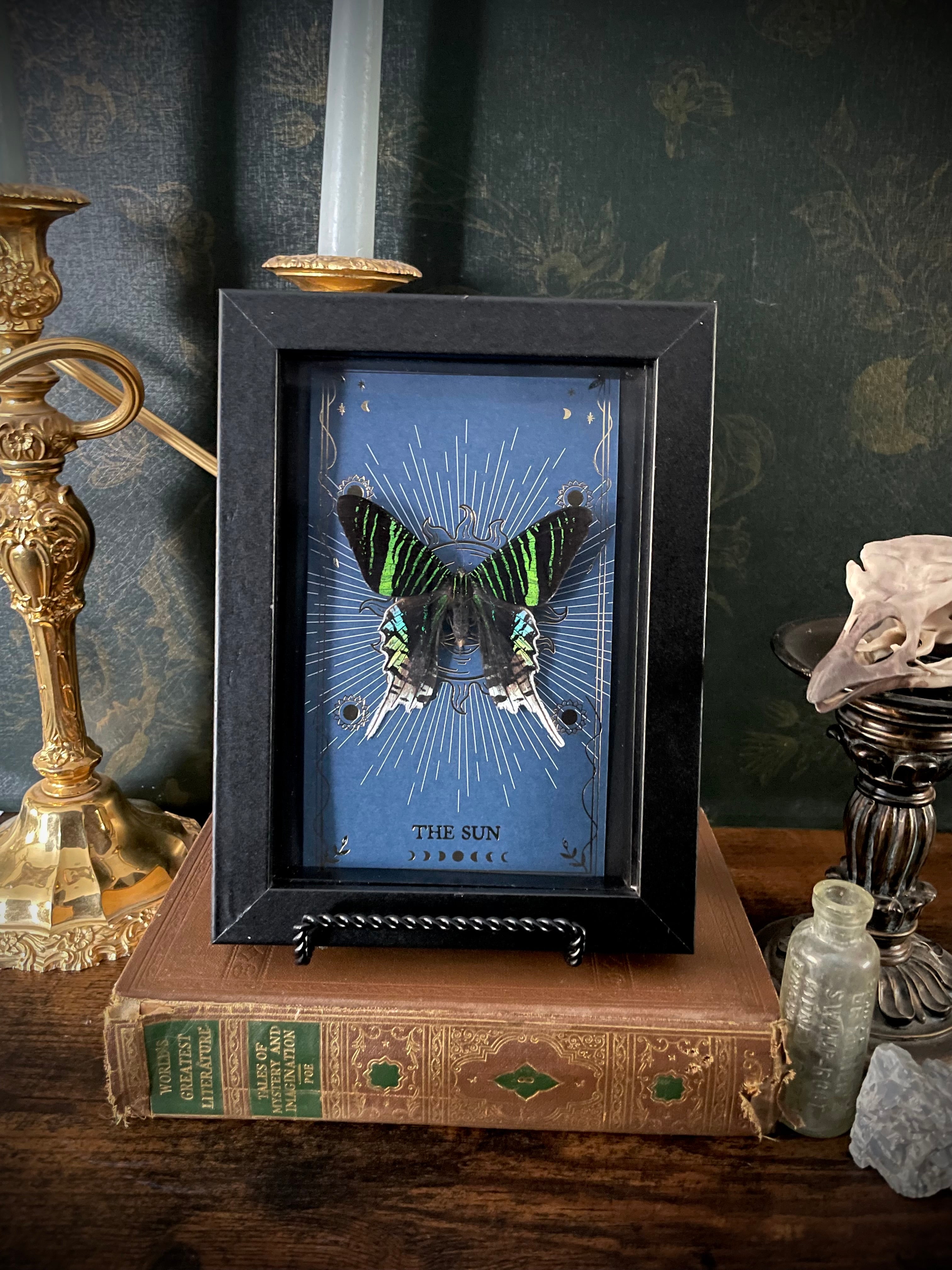 Urania Moth Tarot