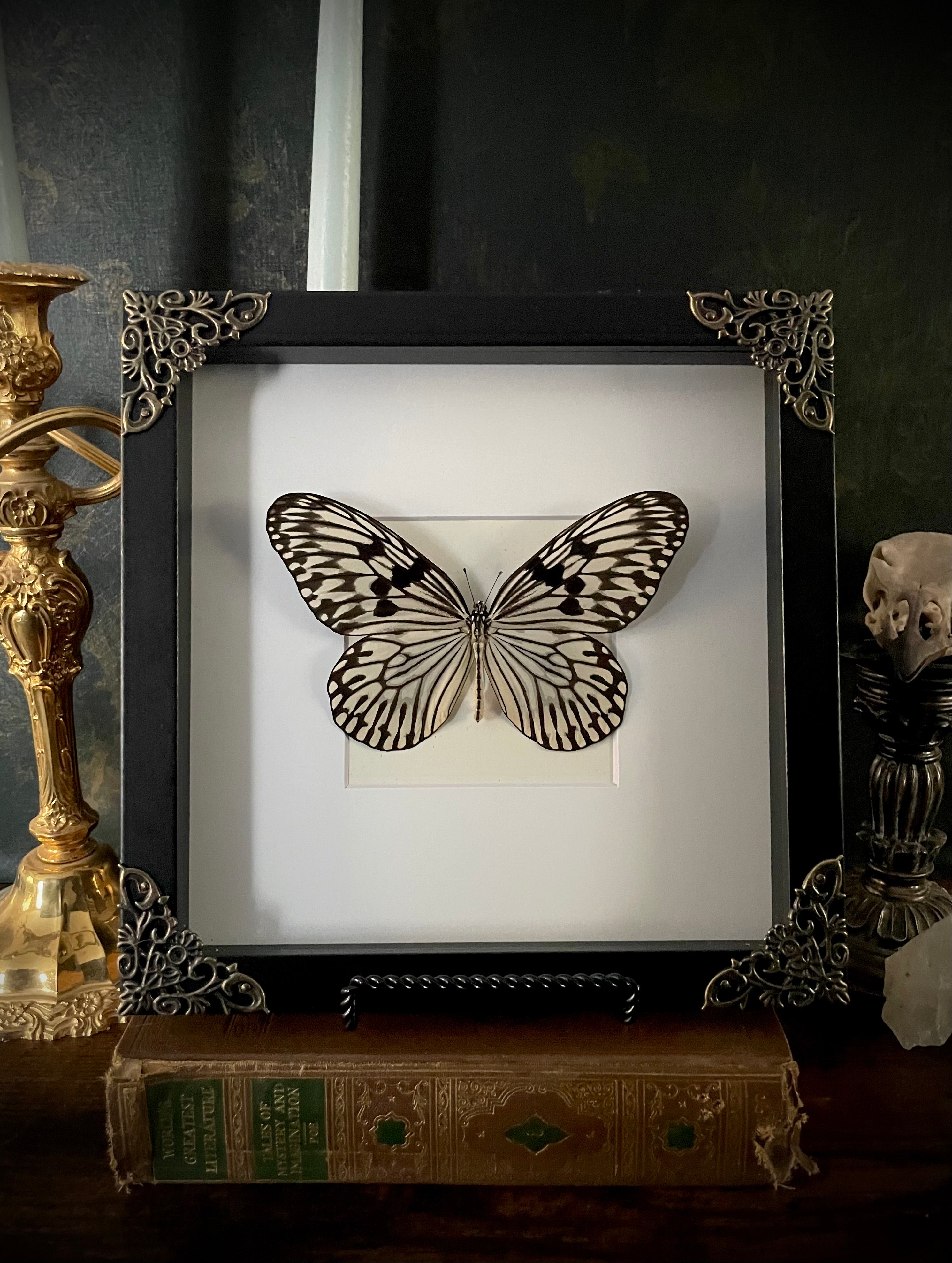 Framed Paper Kite Butterfly