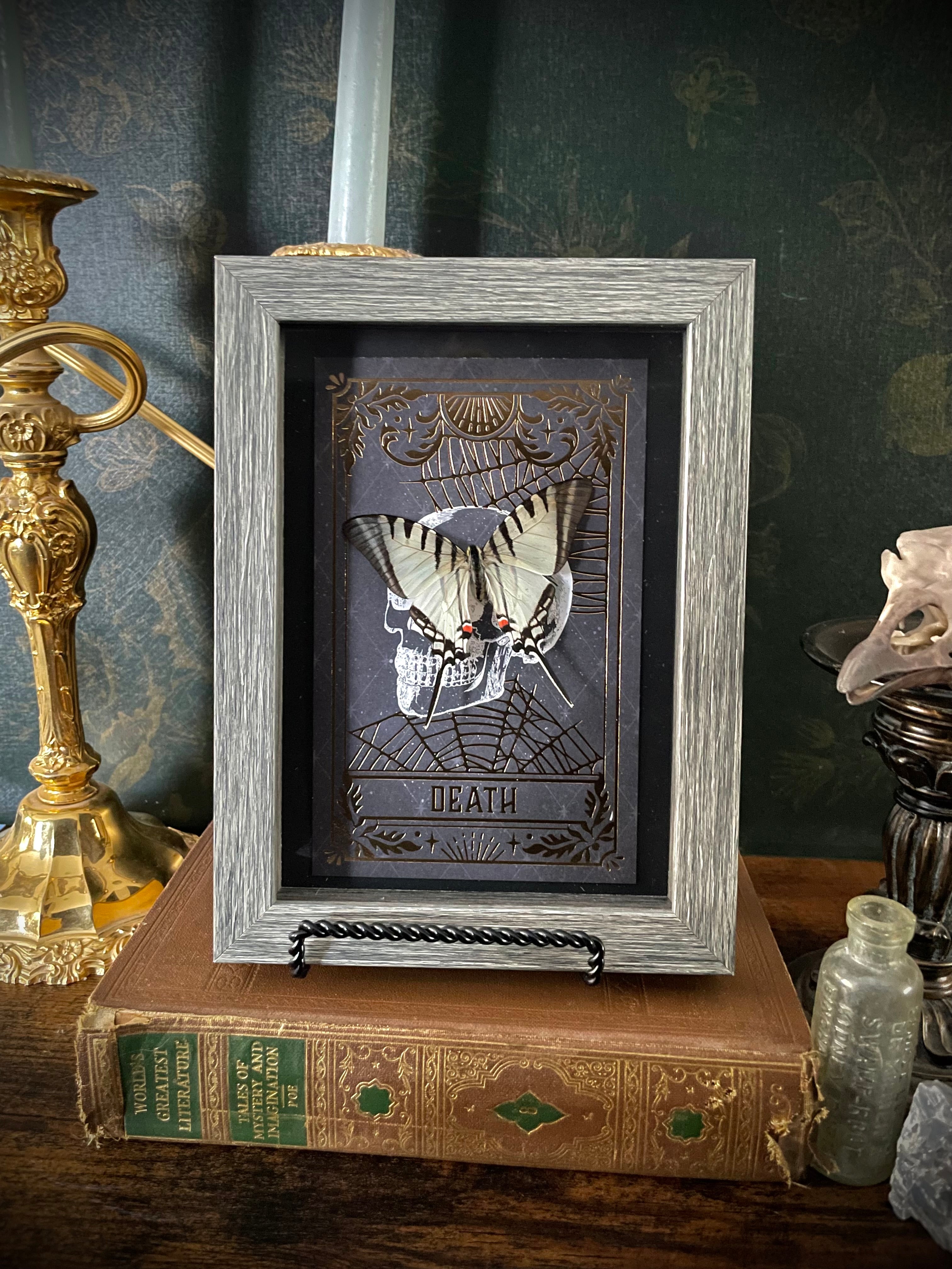 Zebra Swallowtail Tarot