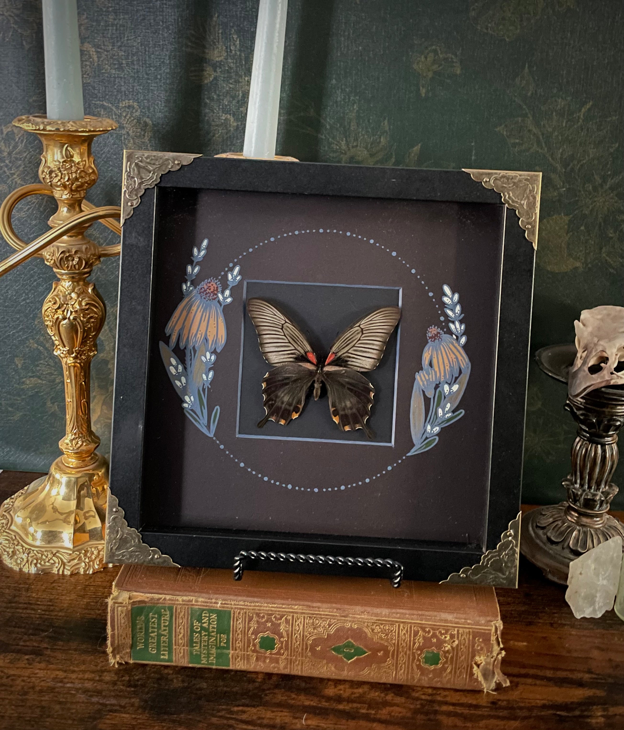Framed Butterfly